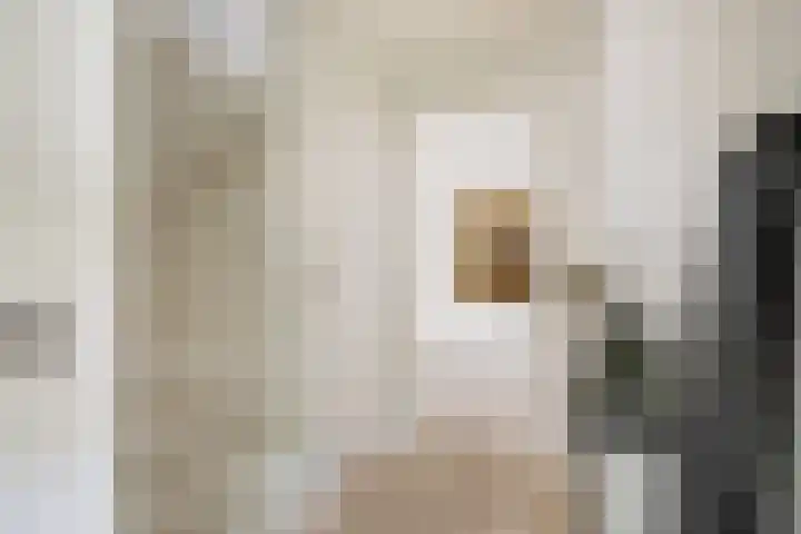 Oude Holleweg 21 Renswoude thumbnail 19
