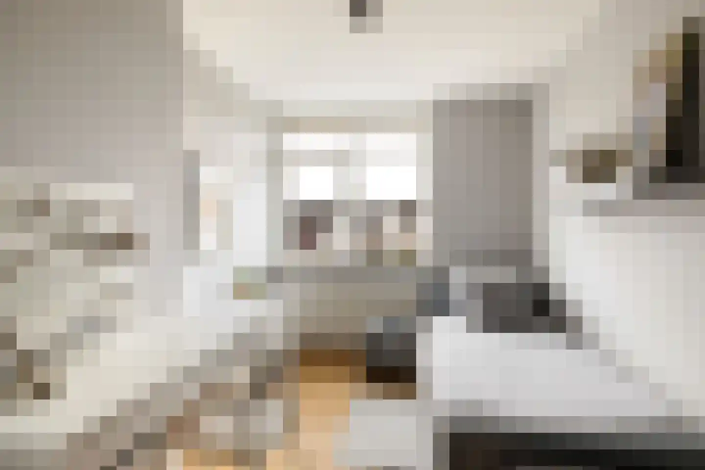 Oude Holleweg 21 Renswoude thumbnail 23