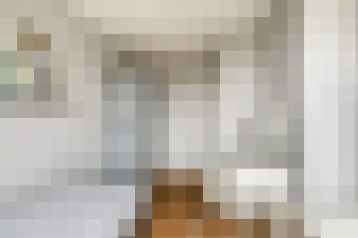Oude Holleweg 21 Renswoude thumbnail 24