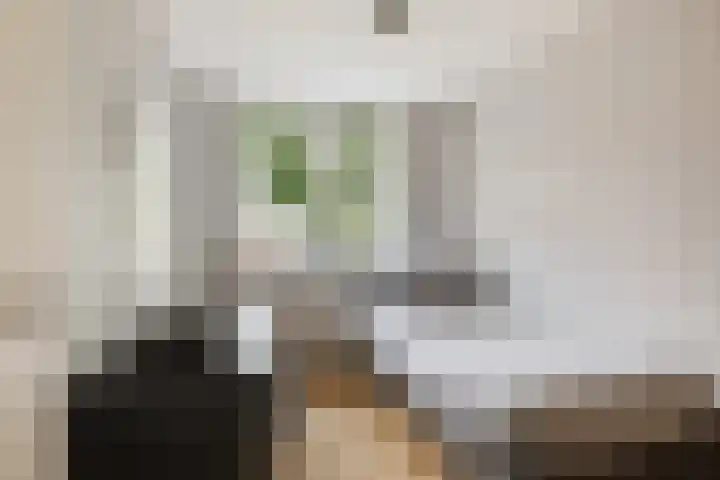 Oude Holleweg 21 Renswoude thumbnail 25
