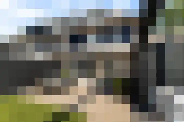 Oude Holleweg 21 Renswoude thumbnail 35