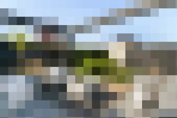 Oude Holleweg 21 Renswoude thumbnail 41