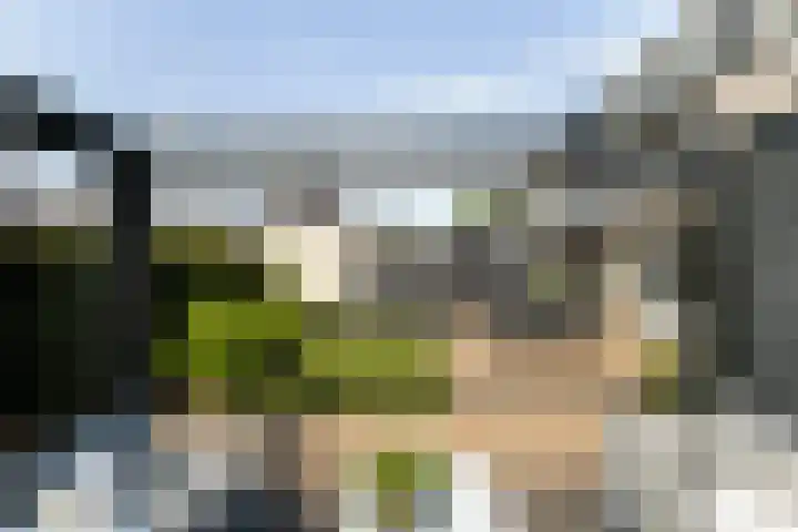 Oude Holleweg 21 Renswoude thumbnail 42