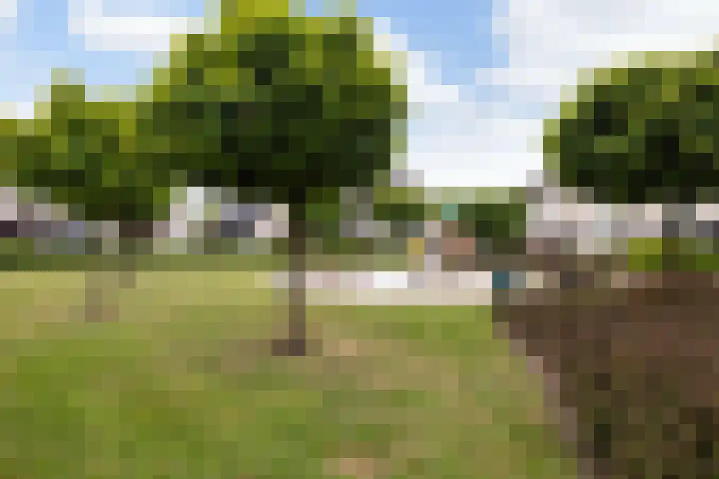 Oude Holleweg 21 Renswoude thumbnail 45