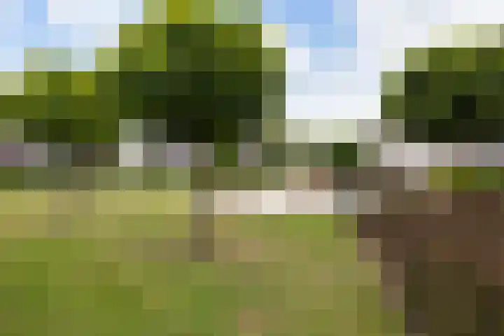 Oude Holleweg 21 Renswoude thumbnail 45