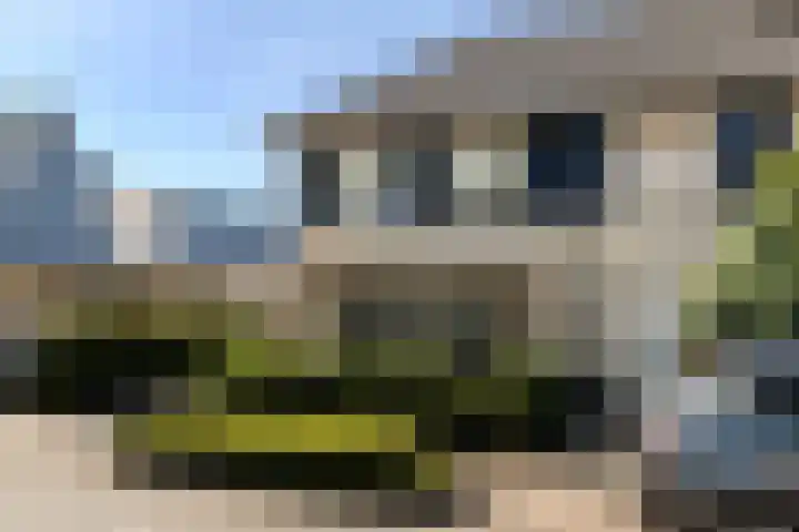 Oude Holleweg 21 Renswoude thumbnail 48