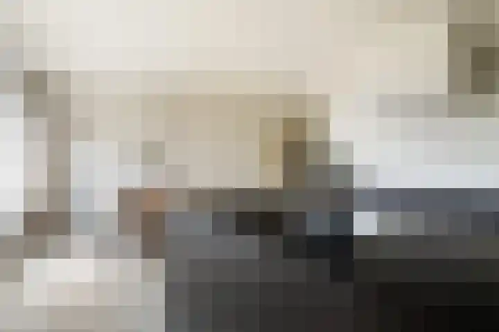 Oude Holleweg 21 Renswoude thumbnail 7