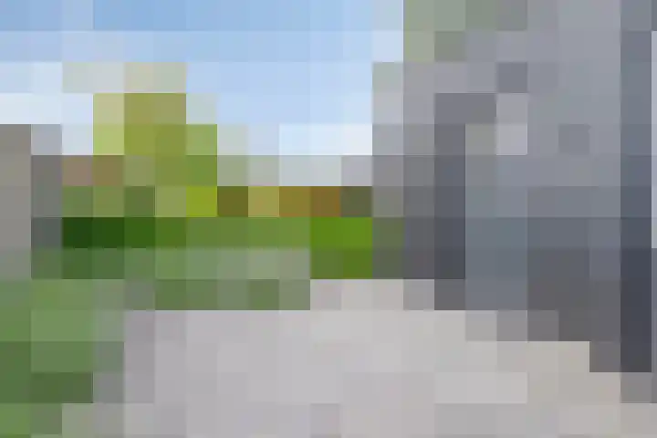 Oude Holleweg 8 Renswoude thumbnail 30