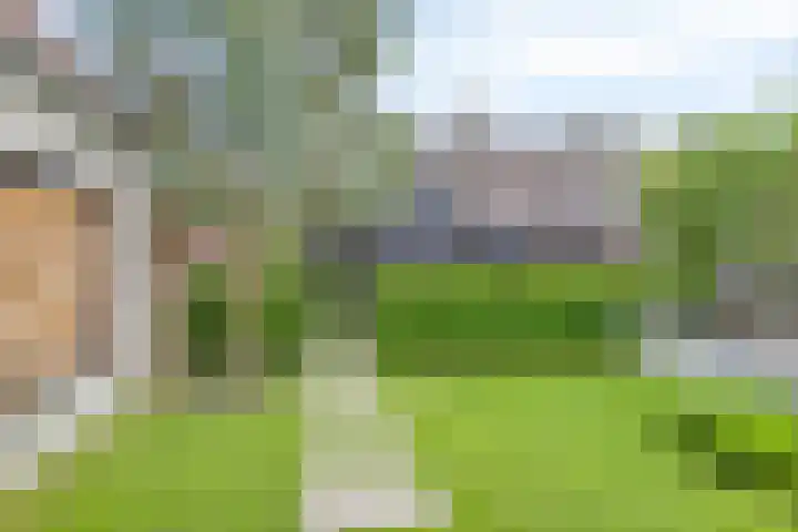 Oude Holleweg 8 Renswoude thumbnail 37