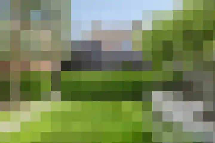 Oude Holleweg 8 Renswoude thumbnail 38