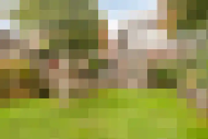Oude Holterweg 14 Deventer thumbnail 39