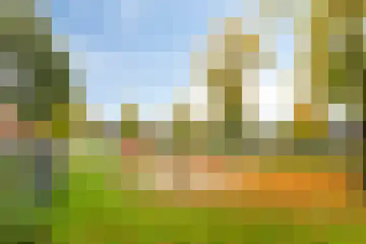 Oude Holterweg 14 Deventer thumbnail 50