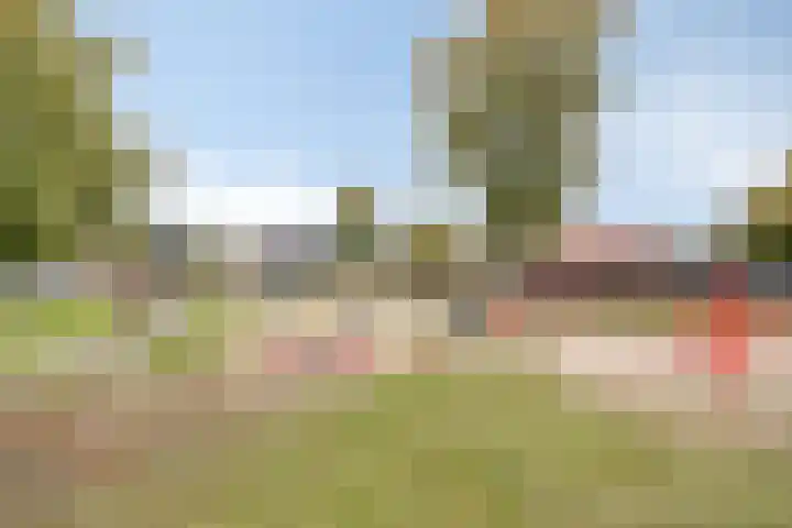 Oude Holterweg 21 Deventer thumbnail 33