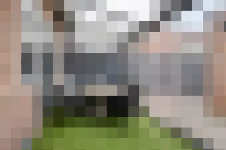 Oude Holterweg 21 Deventer thumbnail 5