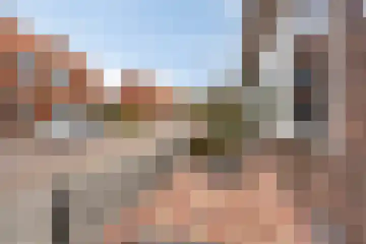 Oude Holterweg 21 Deventer thumbnail 7