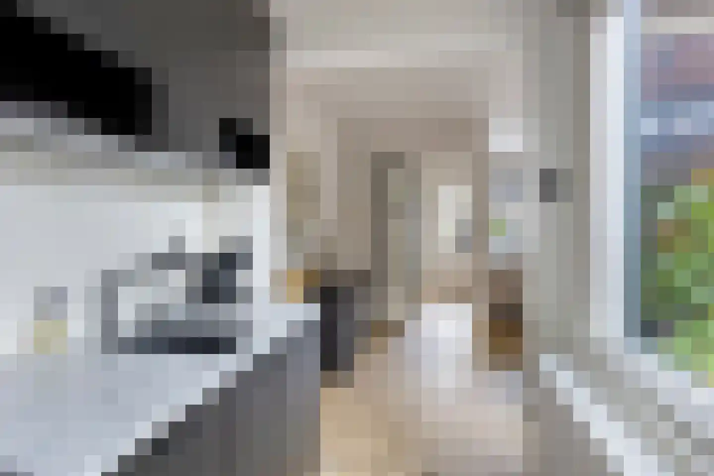 Oude Holterweg 33 Deventer thumbnail 12