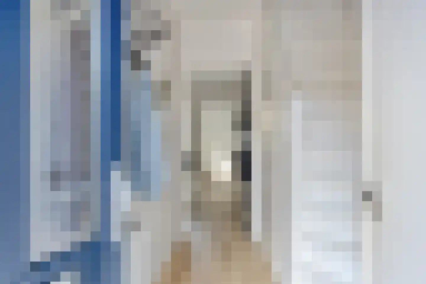 Oude Holterweg 33 Deventer thumbnail 4