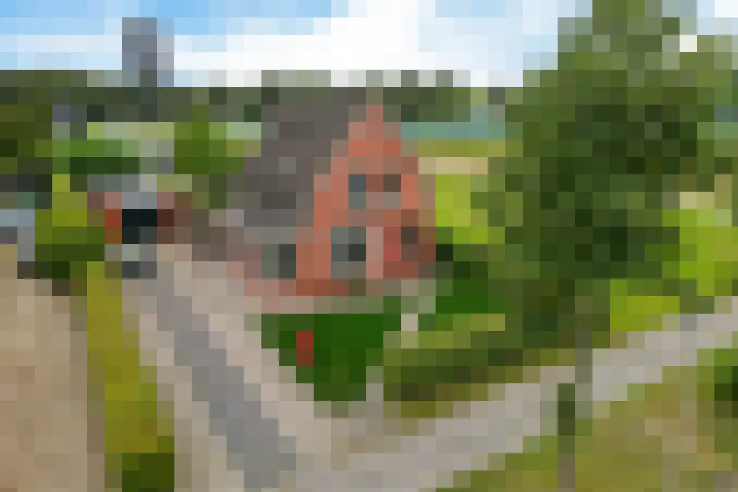 Oude-Hoofdvaartsweg 47 in Assen