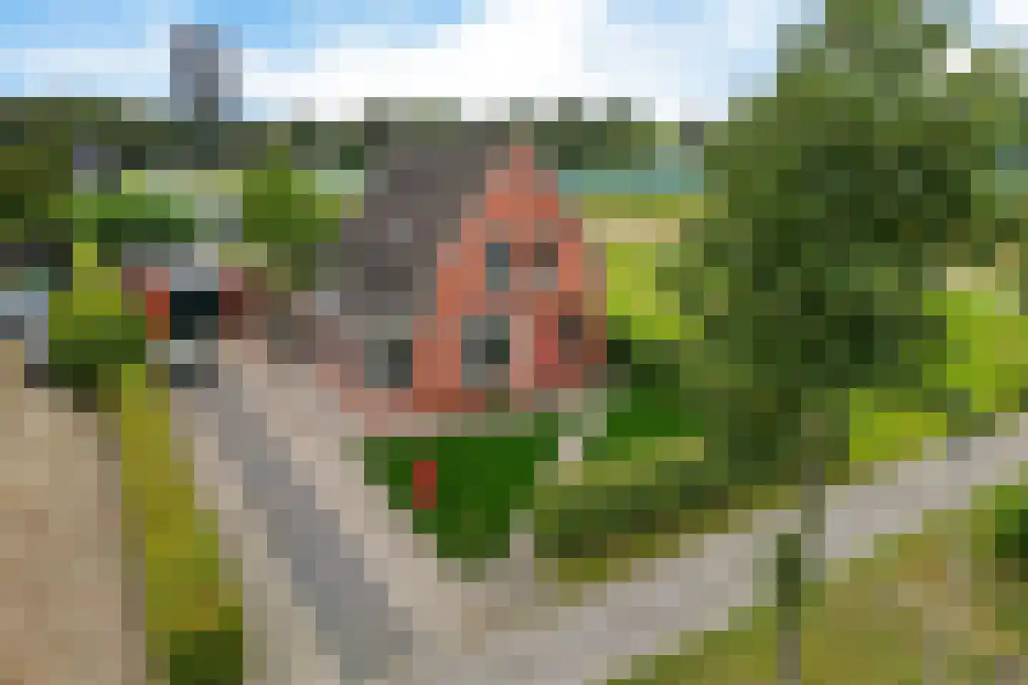 Oude-Hoofdvaartsweg 47 in Assen