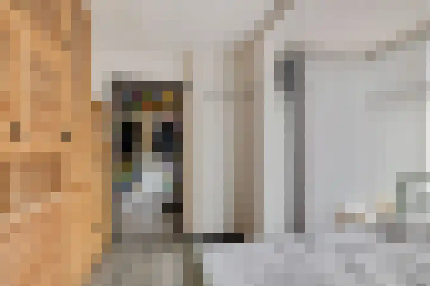 Oude-Hoofdvaartsweg 47 Assen thumbnail 24
