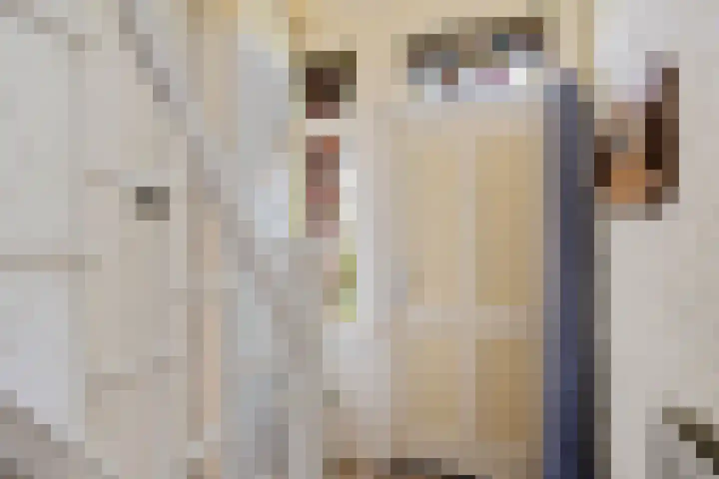 Oude-Hoofdvaartsweg 47 Assen thumbnail 9