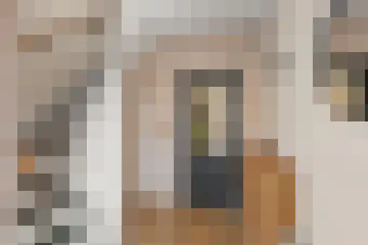 Oude Hoofdweg 28 Zegge thumbnail 15