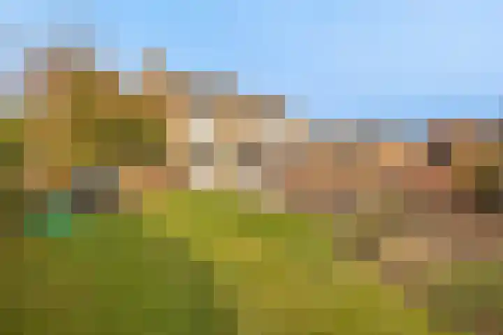 Oude Hoofdweg 28 Zegge thumbnail 31