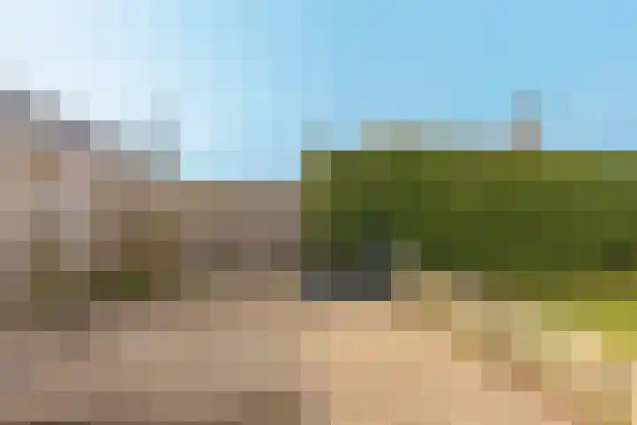 Oude Hoofdweg 28 Zegge thumbnail 34