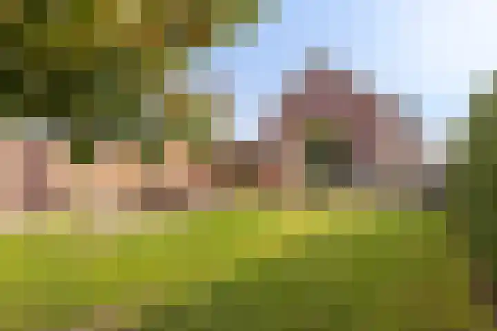 Oude Hoofdweg 28 Zegge thumbnail 35
