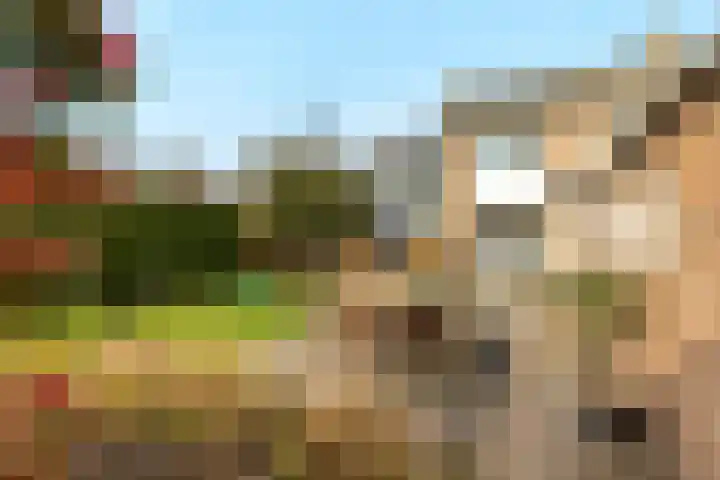 Oude Hoofdweg 28 Zegge thumbnail 36
