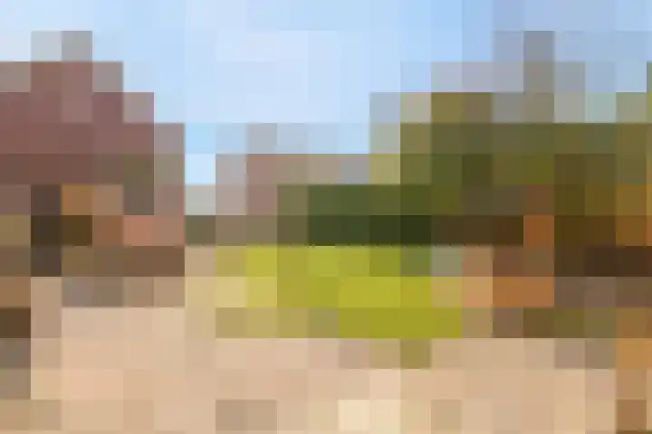 Oude Hoofdweg 28 Zegge thumbnail 37