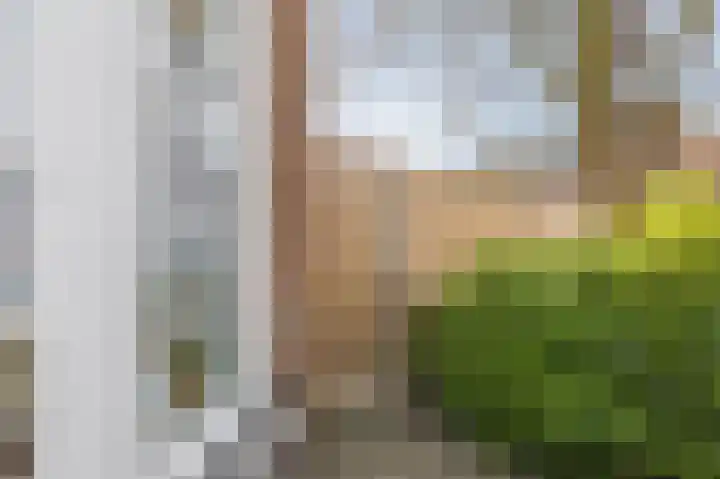 Oude Hoofdweg 28 Zegge thumbnail 41
