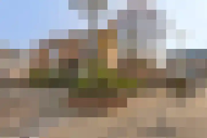 Oude Hoofdweg 28 Zegge thumbnail 42