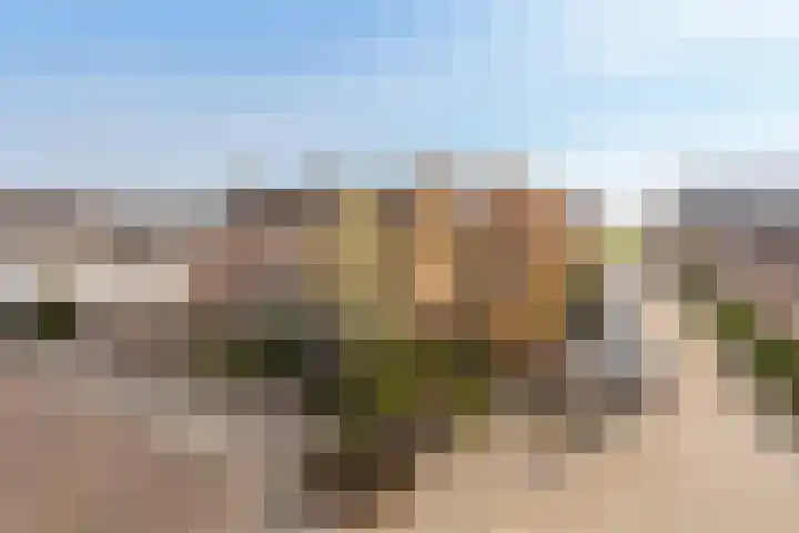 Oude Hoofdweg 28 Zegge thumbnail 43