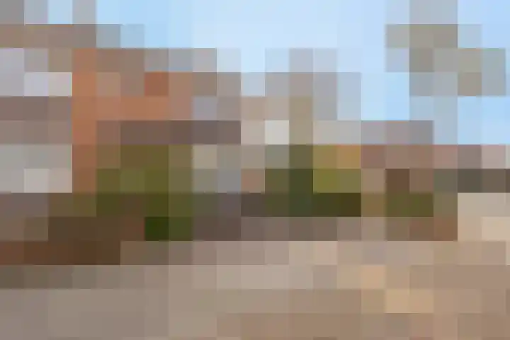 Oude Hoofdweg 28 Zegge thumbnail 45