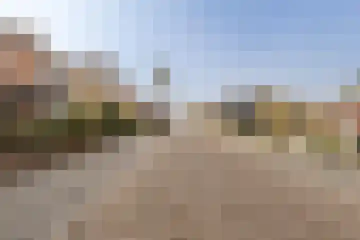 Oude Hoofdweg 28 Zegge thumbnail 46