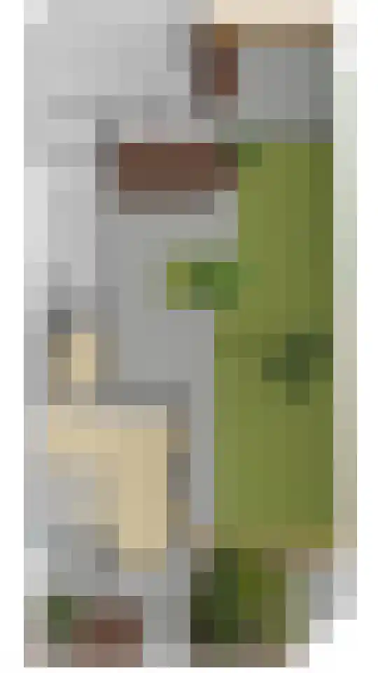 Oude Hoofdweg 28 Zegge thumbnail 55