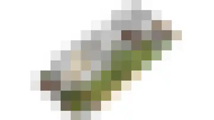 Oude Hoofdweg 28 Zegge thumbnail 59