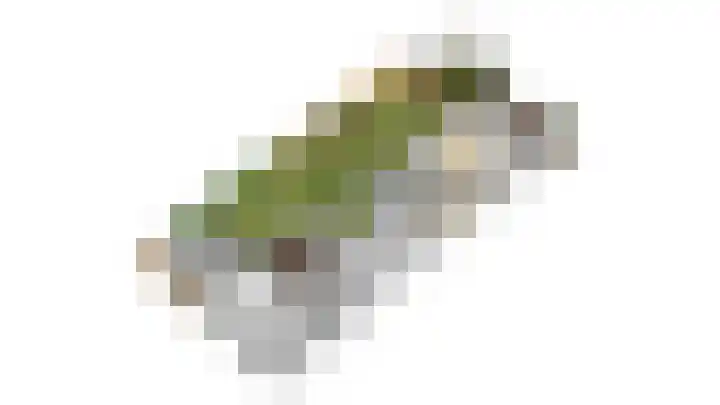 Oude Hoofdweg 28 Zegge thumbnail 63