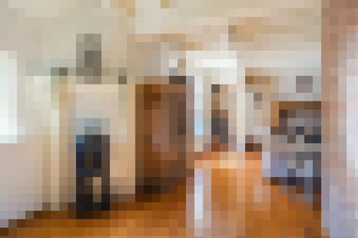 Oude Hoofdweg 31 Zegge thumbnail 12