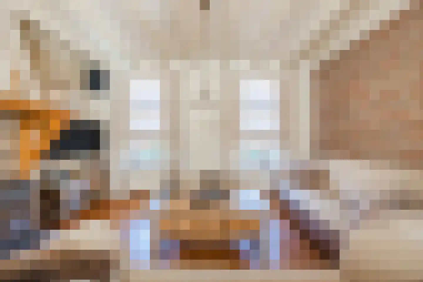 Oude Hoofdweg 31 Zegge thumbnail 14