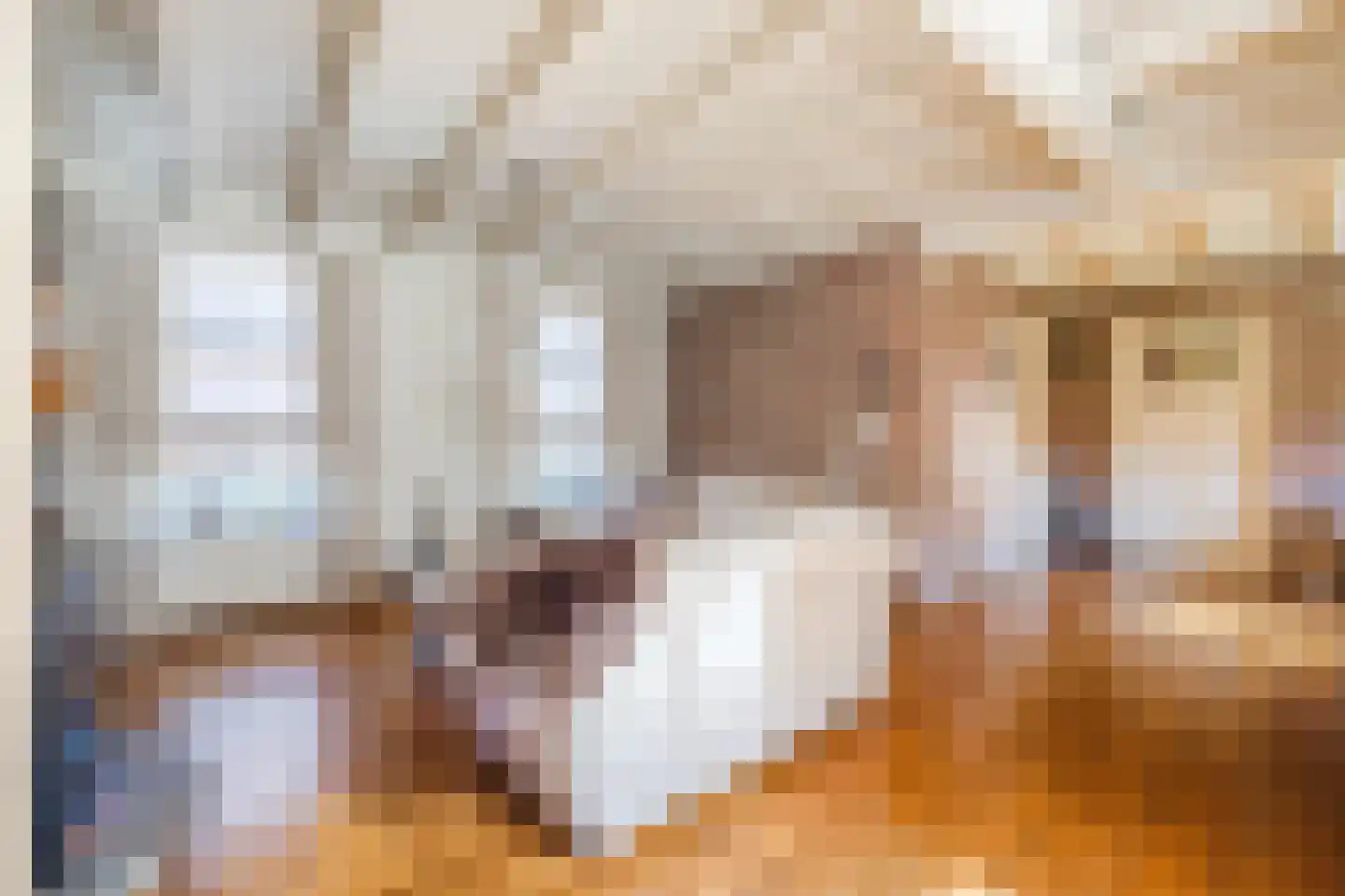 Oude Hoofdweg 31 Zegge thumbnail 17