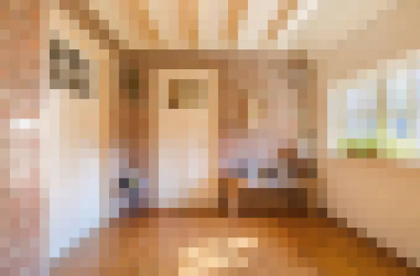 Oude Hoofdweg 31 Zegge thumbnail 20