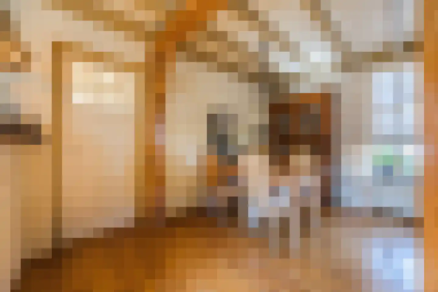 Oude Hoofdweg 31 Zegge thumbnail 21