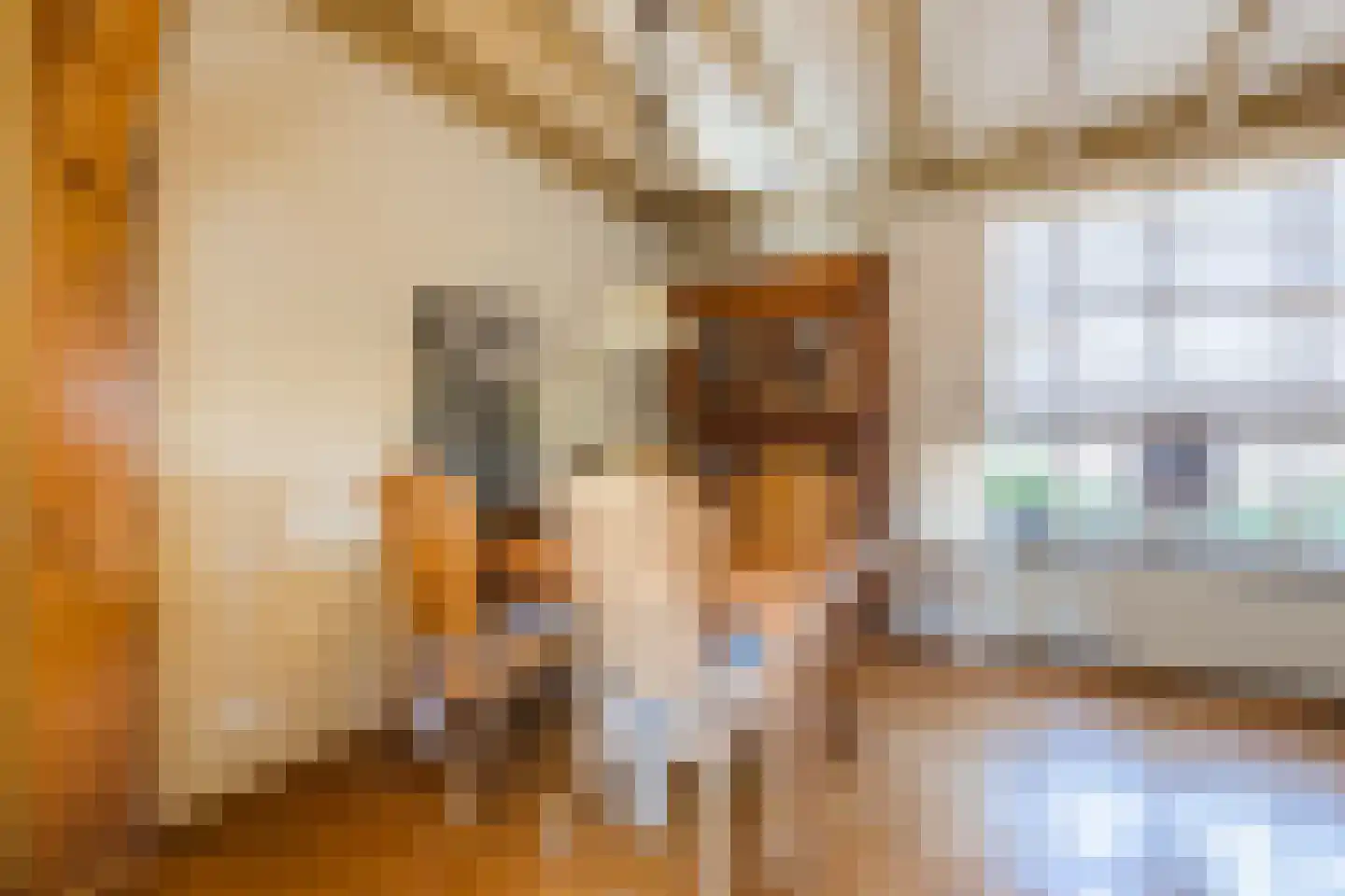 Oude Hoofdweg 31 Zegge thumbnail 22