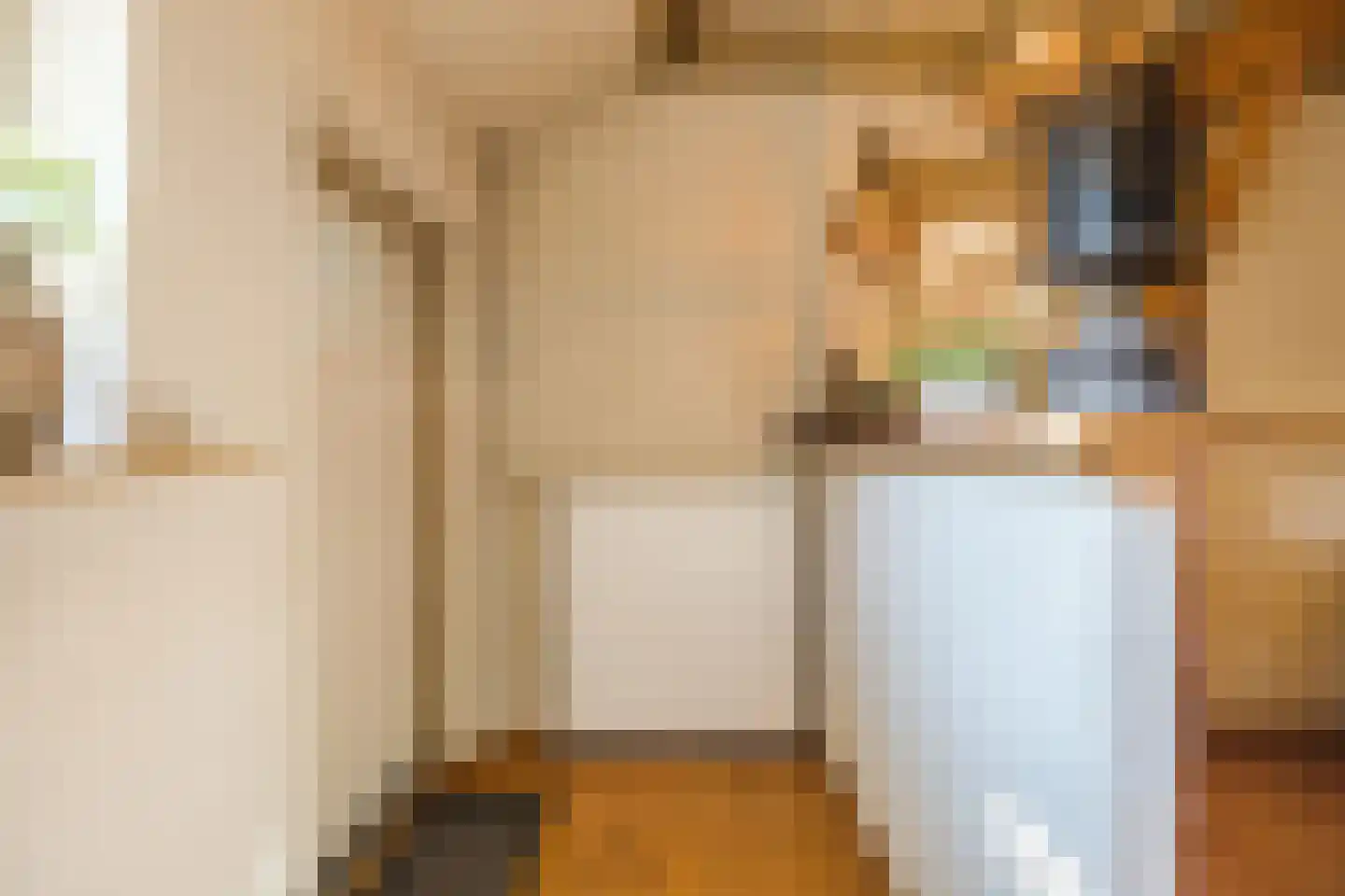 Oude Hoofdweg 31 Zegge thumbnail 25