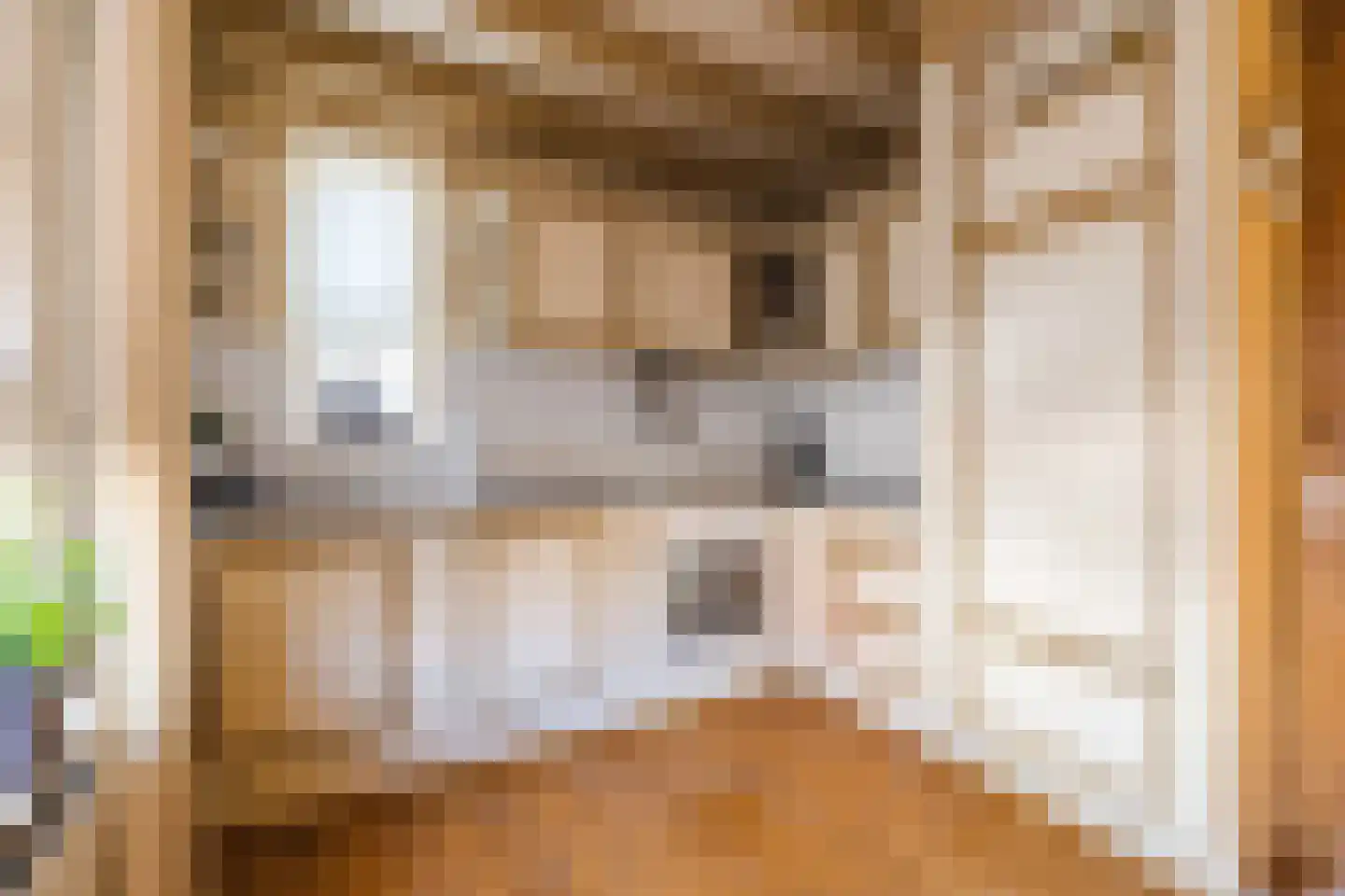 Oude Hoofdweg 31 Zegge thumbnail 26