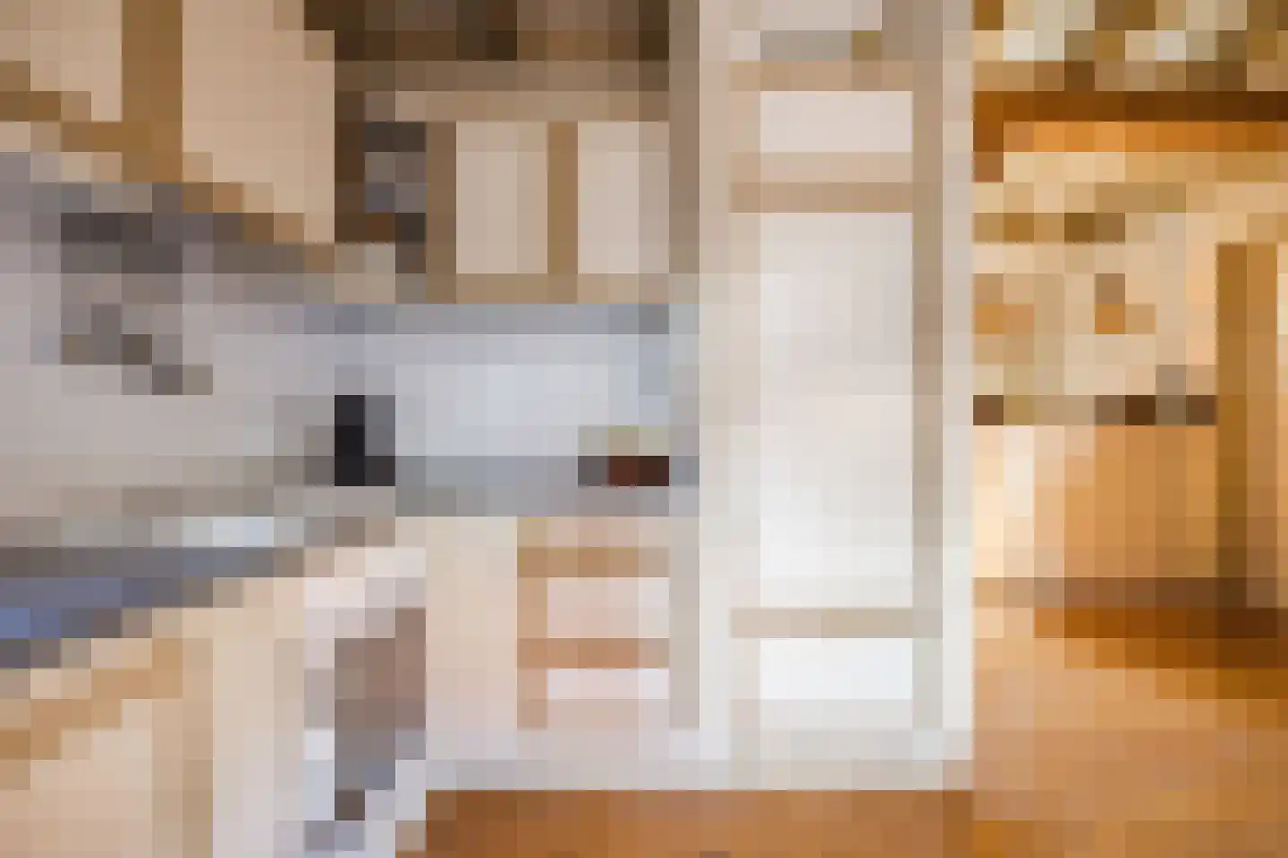 Oude Hoofdweg 31 Zegge thumbnail 28
