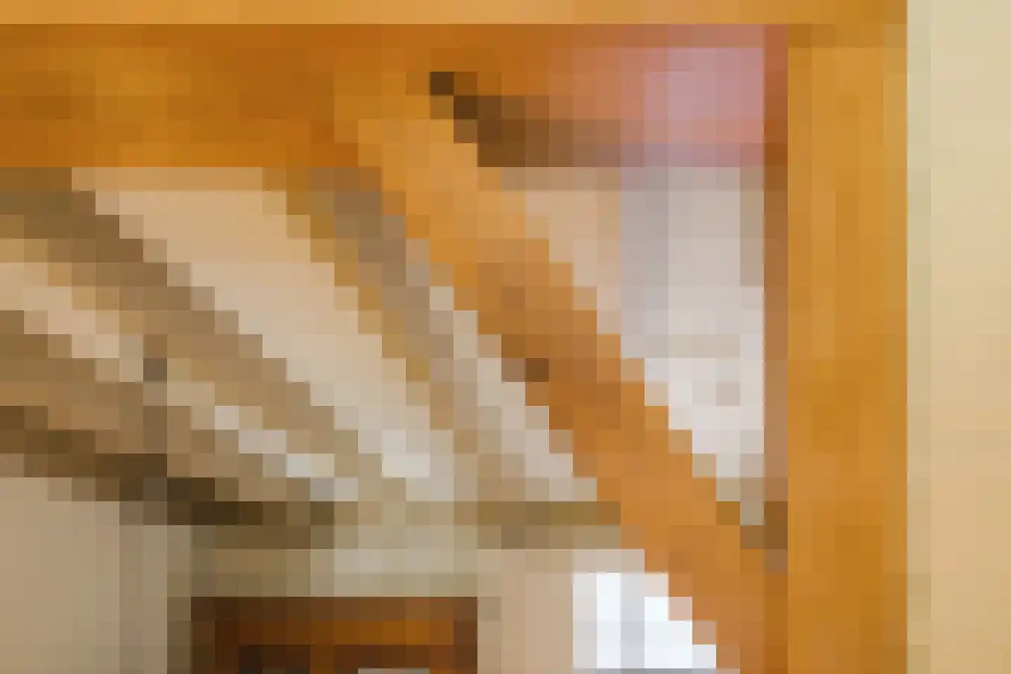 Oude Hoofdweg 31 Zegge thumbnail 30