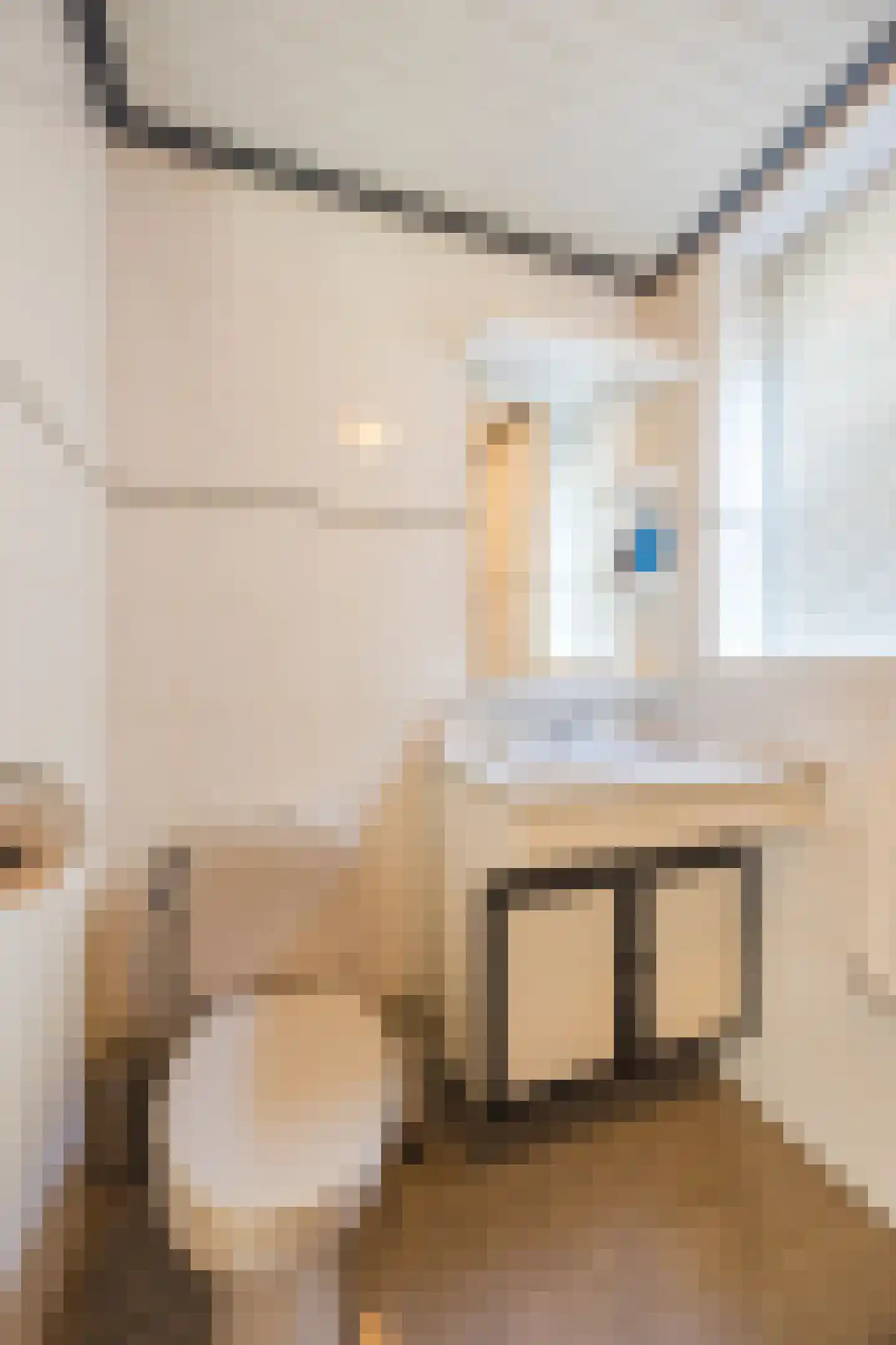 Oude Hoofdweg 31 Zegge thumbnail 33